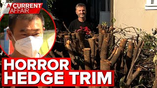 Homeowner’s horror hedge trim leads to dispute with neighbour | A Current Affair