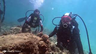 Scuba Diving Di Pulau Samalona