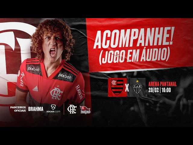 Flamengo x Atlético-MG: onde assistir ao jogo decisivo na Série A - Giz  Brasil