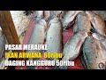 PASAR MERAUKE IKAN ARWANA  80ribu & DAGING KANGGURU 50ribu