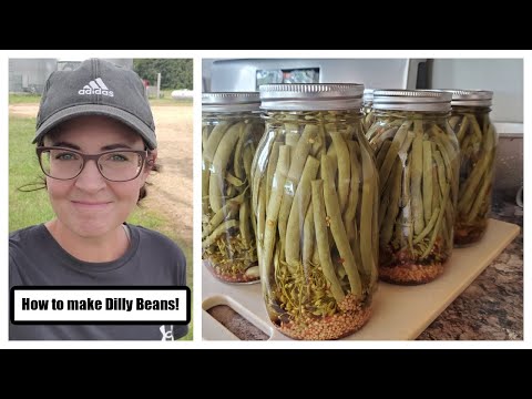 How to make Dilly Beans!
