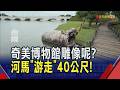 "博物館驚魂夜"來真的?戶外展出河馬雕像位移40公尺... 空拍東港淹水好眼熟!宛如神隱少女"消失的海上道路"｜非凡財經新聞｜20260628