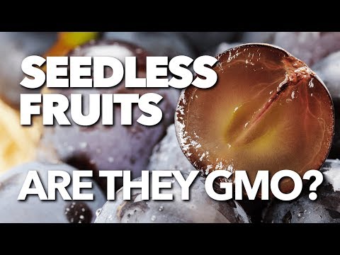 Video: Adakah moondrop grapes gmo?