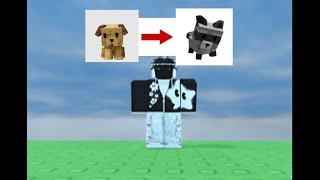 Trading Up From A Golden Lab To Racoon Part 1