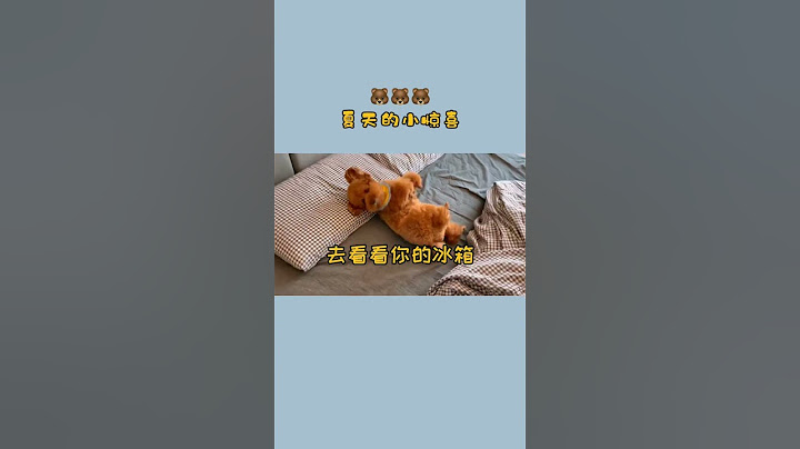 养宠 算不算一种兴趣爱好？#安静的布丁妹妹