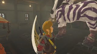 Impas Reaction To A Silver Lynel - Zelda Breath Of The Wild