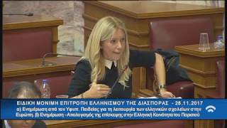Παρέμβαση Φ. Αραμπατζή σε Επιτρ. Ελληνισμού Διασποράς για τα σχολεία της Ομογένειας 28/11/2017