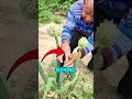 Hidden Money Trick 💰 #shortsvideo