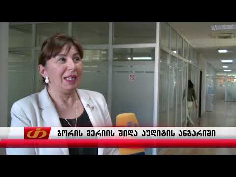 გორის მერიის შიდა აუდიტის ანგარიში