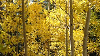 Aspenglow - John Denver: with Lyrics(가사번역) || Aspen, Colorado on Sep. 21, 2012