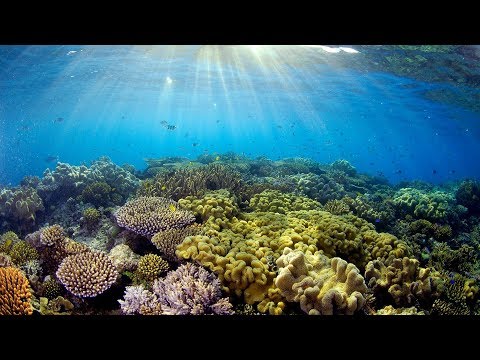 Exciting underwater world Croatia