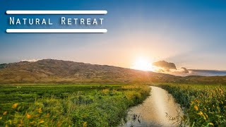Natural Retreat | Tranquil Mind