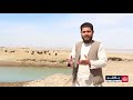 یک هیئت به رهبری مولوی عبدالحکیم رئیس عمومی حوزه دریایی شمال از کار تحکیمات دریایی آمو دیدن کرد یک هیئت به رهبری مولوی عبدالحکیم رئیس عمومی حوزه دریایی شمال از کار تحکیمات دریایی آمو دیدن کرد