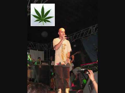 Yo Fumo (I Love Marihuana) - De La Ghetto Ft Cultura Profetica (Wily) [Con Letra_Lirica].mp4
