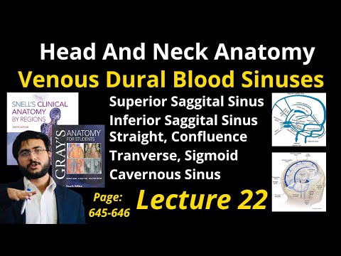 Venous Dural Sinuses Explained | Superior, Inferior Sagittal, Cavernous Sinus | Head & Neck Anatomy