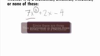 College Algebra Prerequisite - Identifying a Polynomial Example