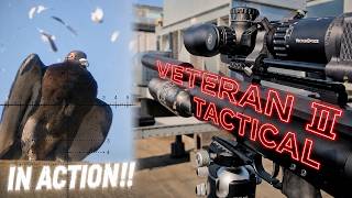 Filthy Pests: SHOOT THEM! Taipan Veteran 2 Tactical