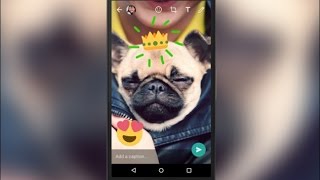 WhatsApp Messenger Introduces New Camera Features To Enhance Photos & Videos With Text, New Emoji screenshot 2