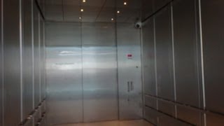 humongous thyssenkrupp traction freight elevator at museum of natural sciences in raleigh nc