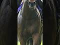 本当に涙したレース中に79なったGI馬5戦