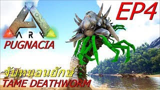 BGZ - ARK Pugnacia Plus EP#4 จับหนอนยักษ์ Tame Deathworm