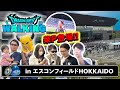 【現地レポ】ドラクエウォーク北海道リアルイベントに家族で参加！柴P登場＆エスコンフィールド潜入Vlog！【ドラクエウォーキング】