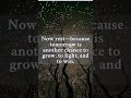Night Motivation - Reset for Tomorrow #mindset  #Reset #thoughts  #shorts  #motivation