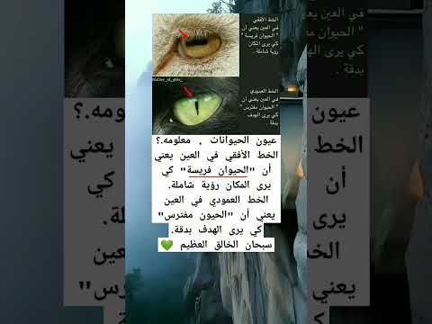 معلومه كيف تفرق بين الحيوانات من العيون