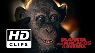 Planeta dos Macacos: A Guerra | Conheça Macaco Mau | Legendado HD screenshot 3