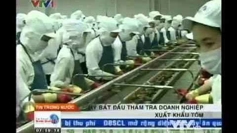 Mỹ bắt đầu thẩm tra doanh nghiệp xuất khẩu tôm - Nguồn VTV