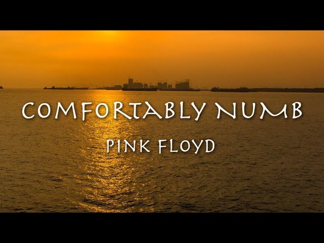 COMFORTABLY NUMB - Pink Floyd (1979) 【和訳】ピンク・フロイド