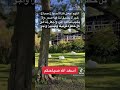 #صباح_الخير #دعاء_الصباح #goodmorning #nature #bonjour