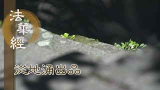 【靜思妙蓮華】法華經從地涌出品 - 五大互融 持心如地 - 20230906 第1496集