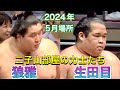 二子山部屋【2024年5月場所】取組まとめ❗️厚雅 月岡 恵雅 颯雅 小滝山 桑江 舞蹴 相馬 許田 出沼 若雅 延原 生田目 狼雅 FUTAGOYAMA beya May basho 2024
