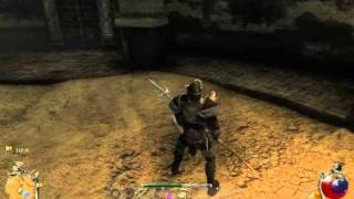 Two Worlds II - Funny cheetah dance bug
