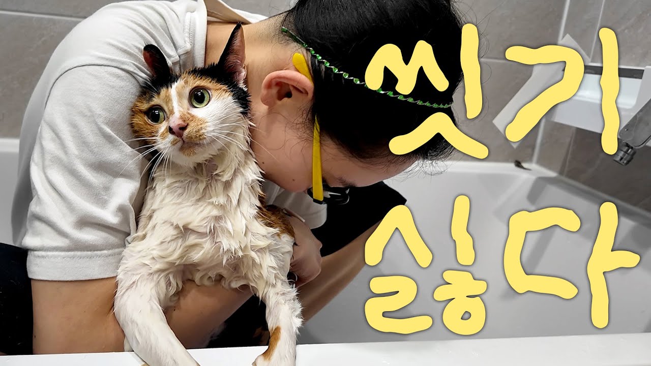 점프 묵은때 벗기기 대작전!