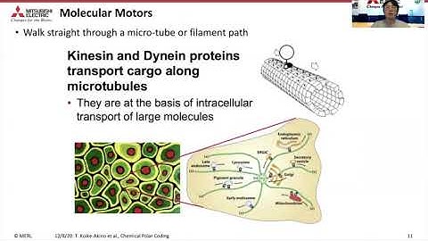 [GLOBECOM 2020] Polar Coding with Chemical Reaction Networks for Molecular Communications