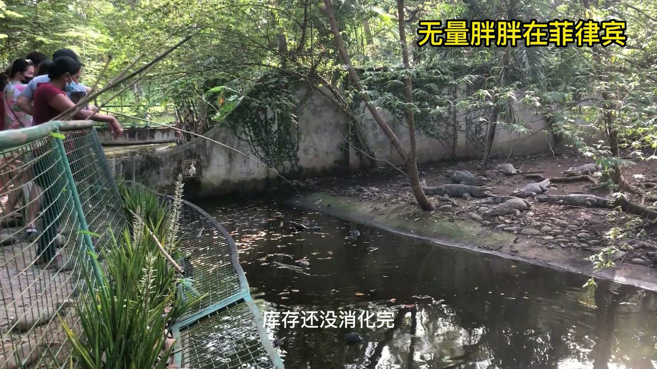 菲律宾比索贬值了兑人民币破8 - YouTube