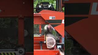 #shortvideo Sawing 3rd Slab from Small Walnut Log #woodworking #shortvideo Sawing 3rd Slab from Small Walnut Log #woodworking