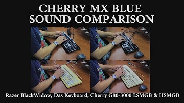 Cherry MX Blue typing sound comparison (Razer BlackWidow, Das Keyboard, LSMGB, HSMGB) (ASMR)