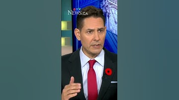 Michael Kovrig warns against making China ‘core’ to diversification strategy