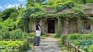 A female CEO returns home after many years: secrets about her husband and the abandoned house.