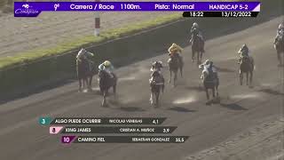 Vidéo de la course PMU PRIX QUEEN FABIOLA