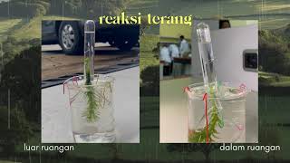 Fotosintesis Kelompok 2 G1 Botani Farmasi