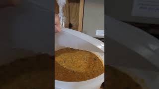 George's sweet potato vodka step 2