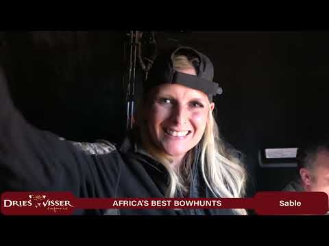 Bowhunt Africa   29 Sable hunts