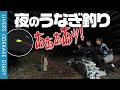 【うなぎの夜釣り】スーパーで買った食材とホラーな〇〇で大物狙いに挑戦!【ライバーのおでかけ日記】