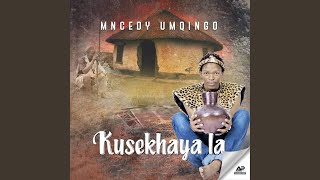 Iyasiphika Imvelo
