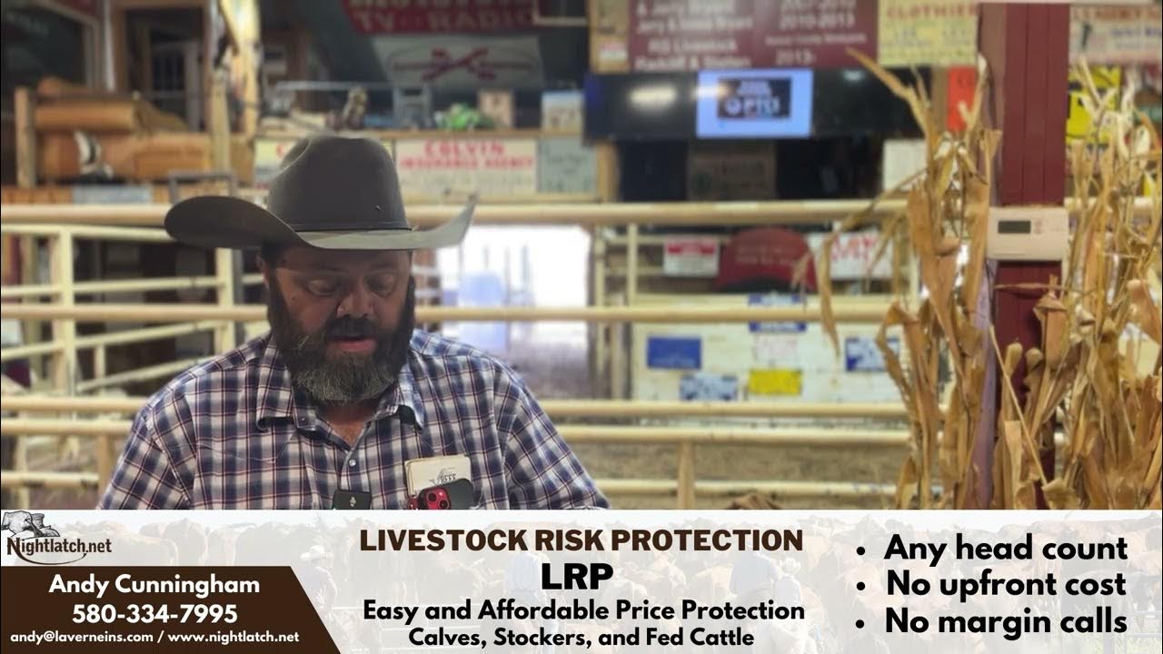 10/25/2023 Cattle Market Report Beaver County Stockyards YouTube