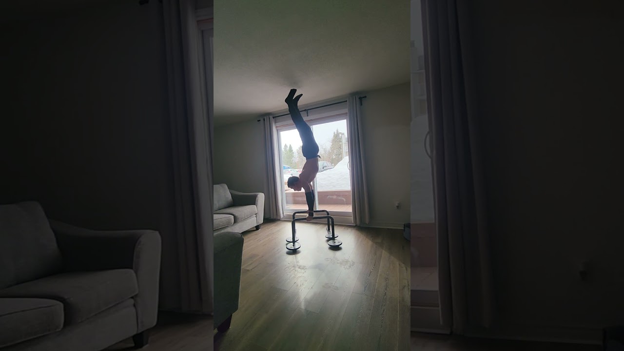 2009 in calisthenics⚒️